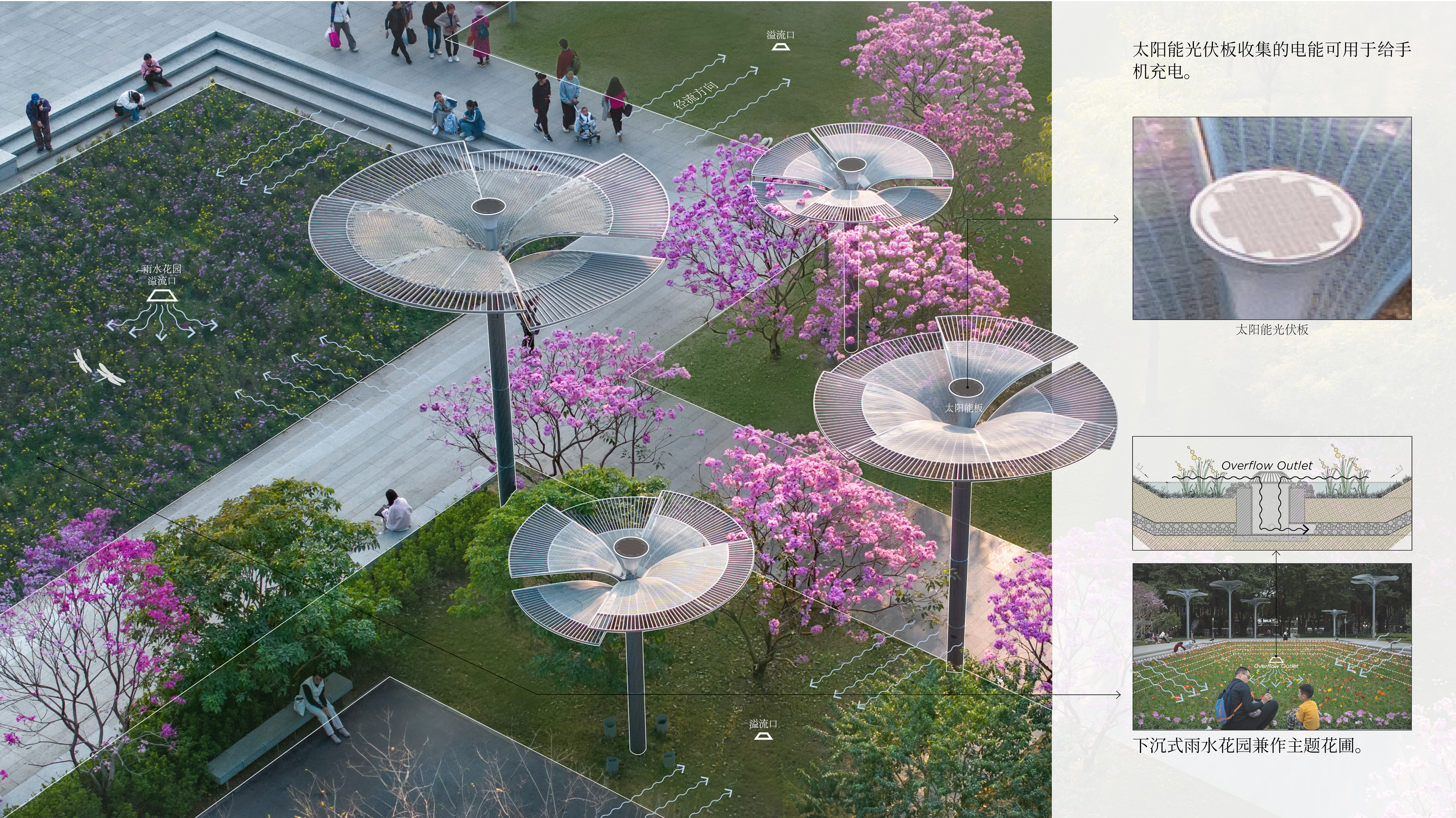 SCAD喜报｜华工设计院作品广州文化公园西南广场设计获 IFLA 2025国际奖项
