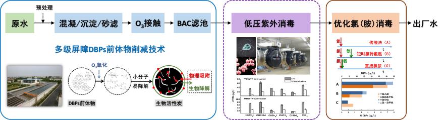 硬核！同济设计集团荣获六项上海市科学技术奖！