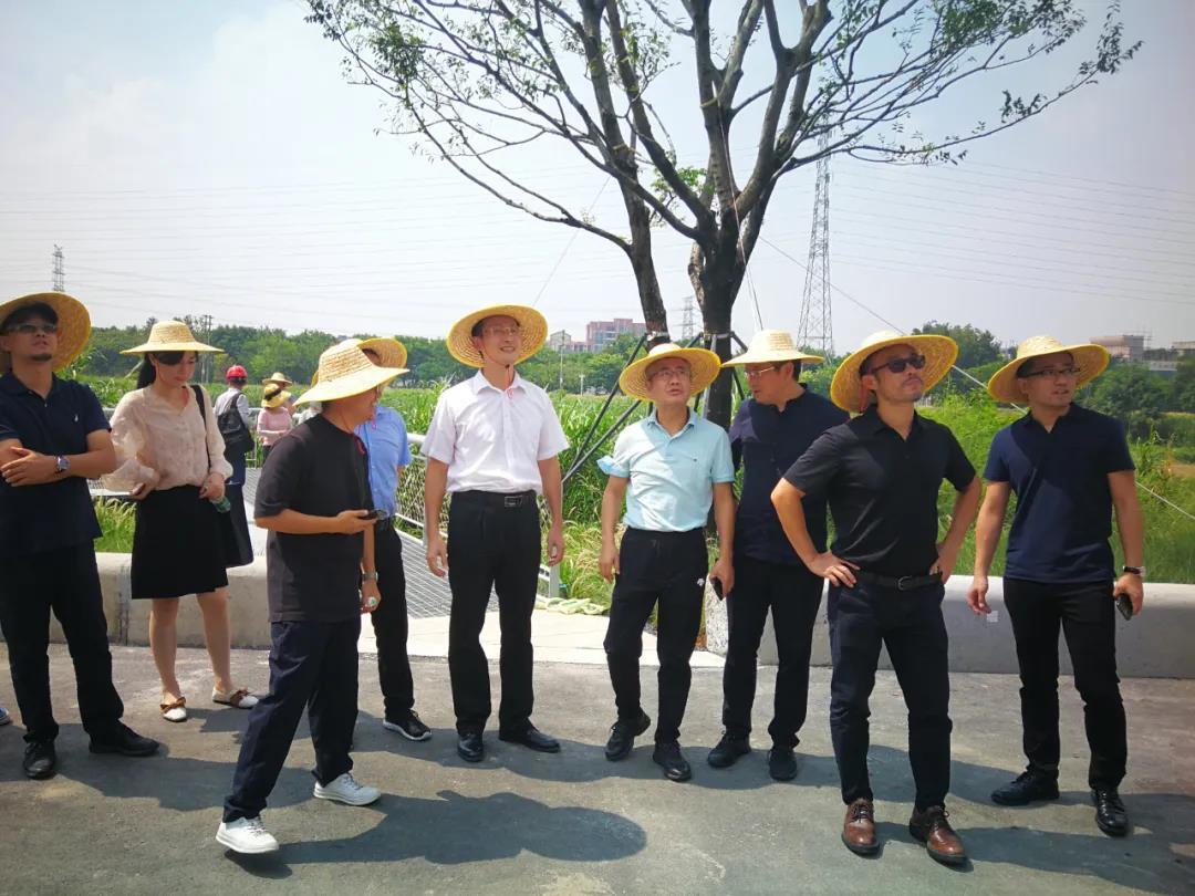 重磅 | 同济设计集团大湾区办事处在深圳成立