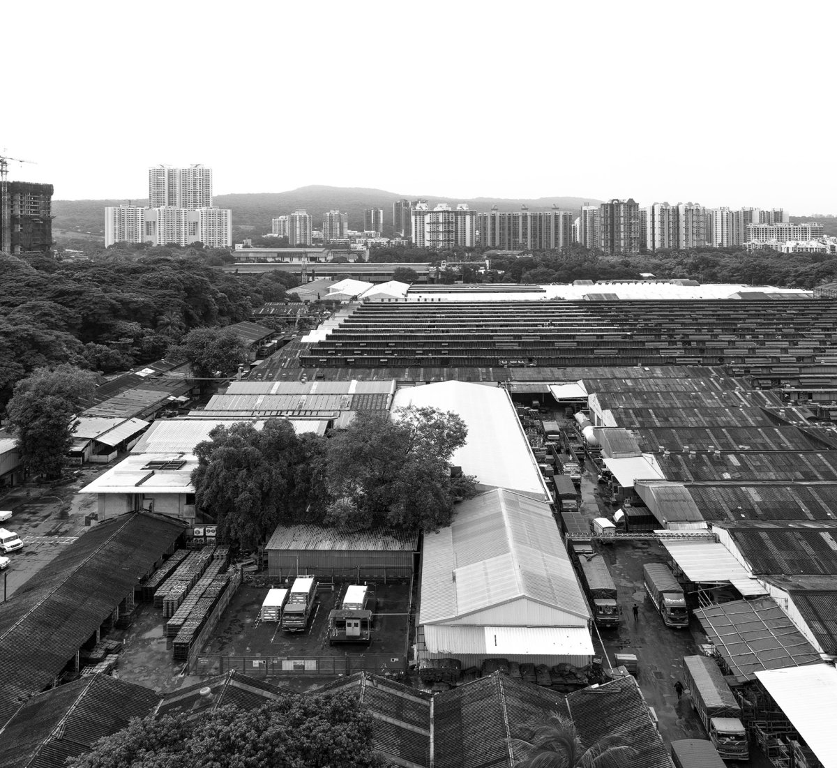 项目图片 1
