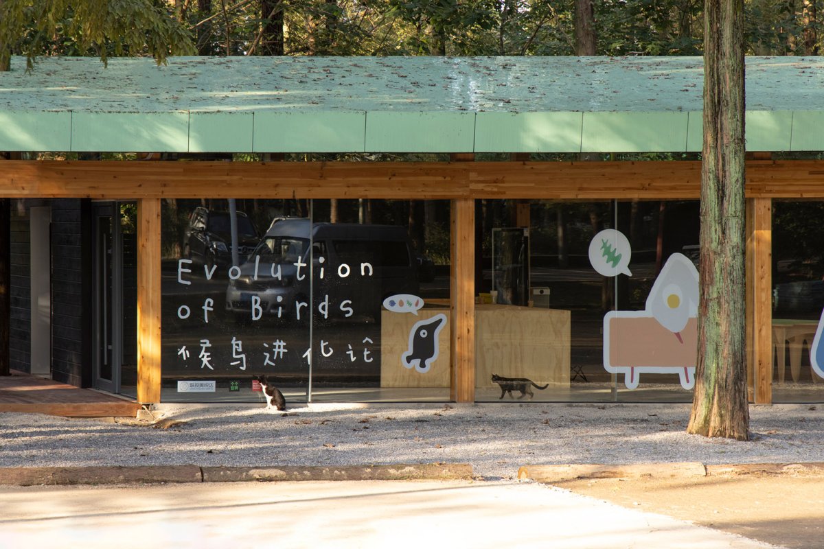 项目图片 6