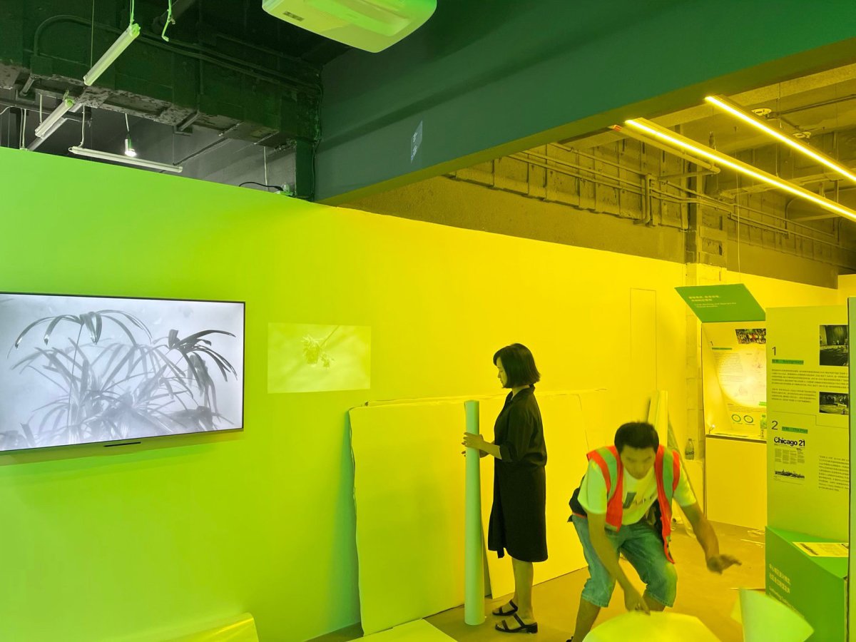 项目图片 1