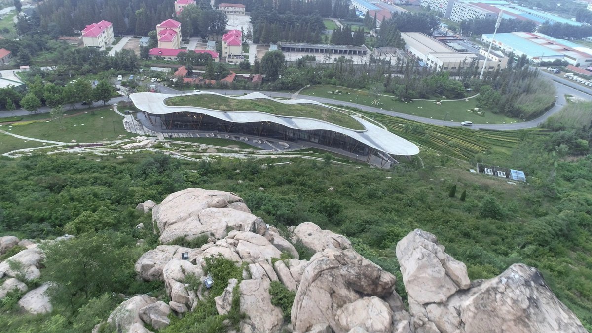 项目图片 1