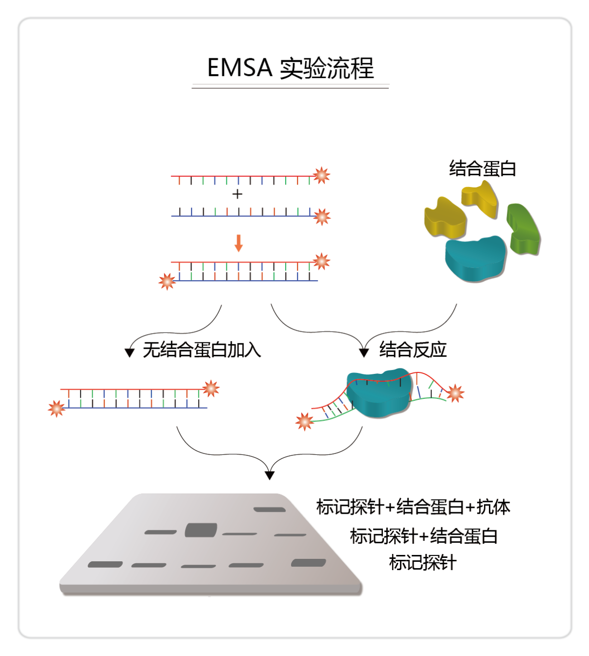 项目图片 2