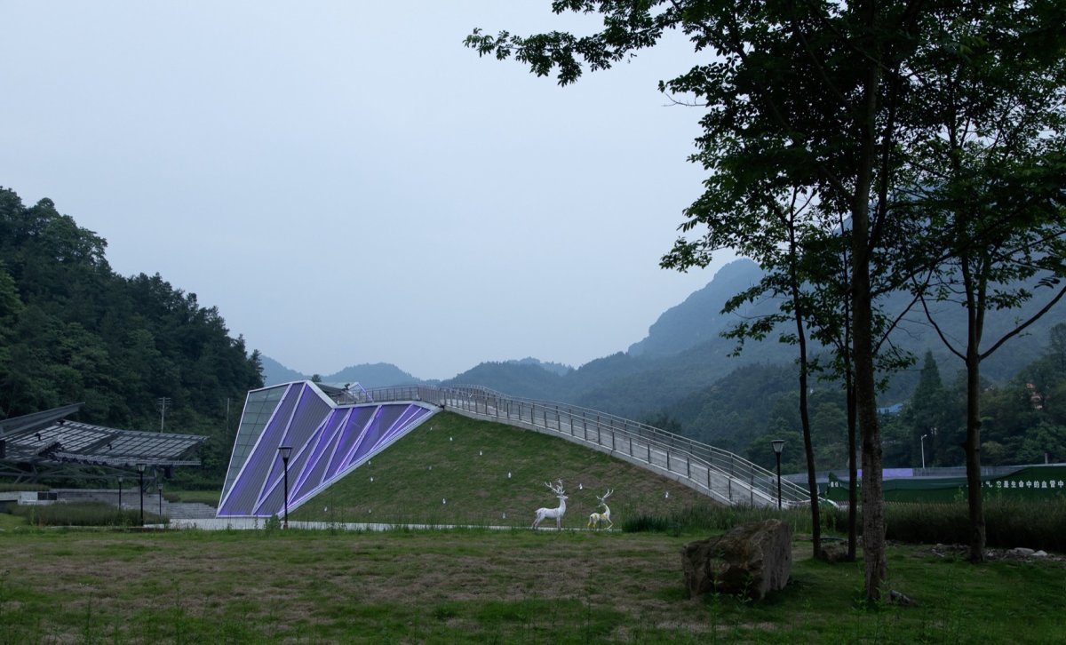 项目图片 3