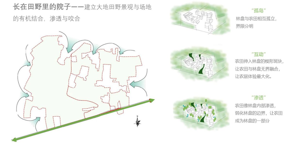 项目图片 2
