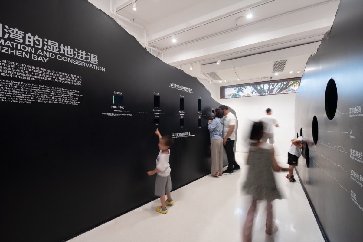 项目图片 5