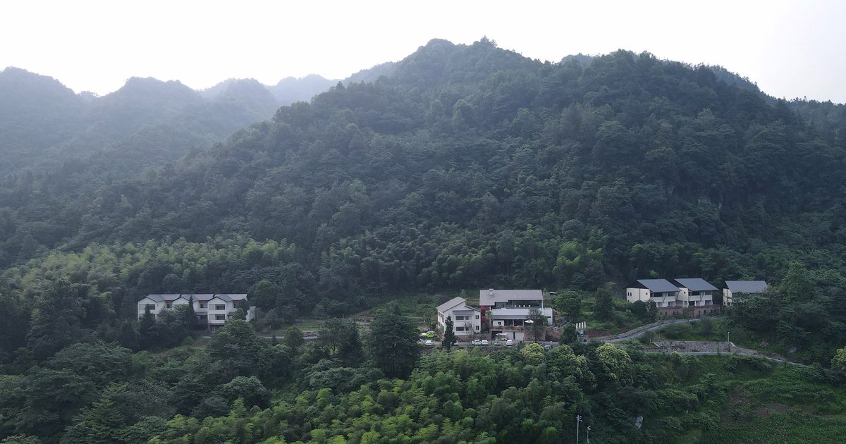项目图片 3