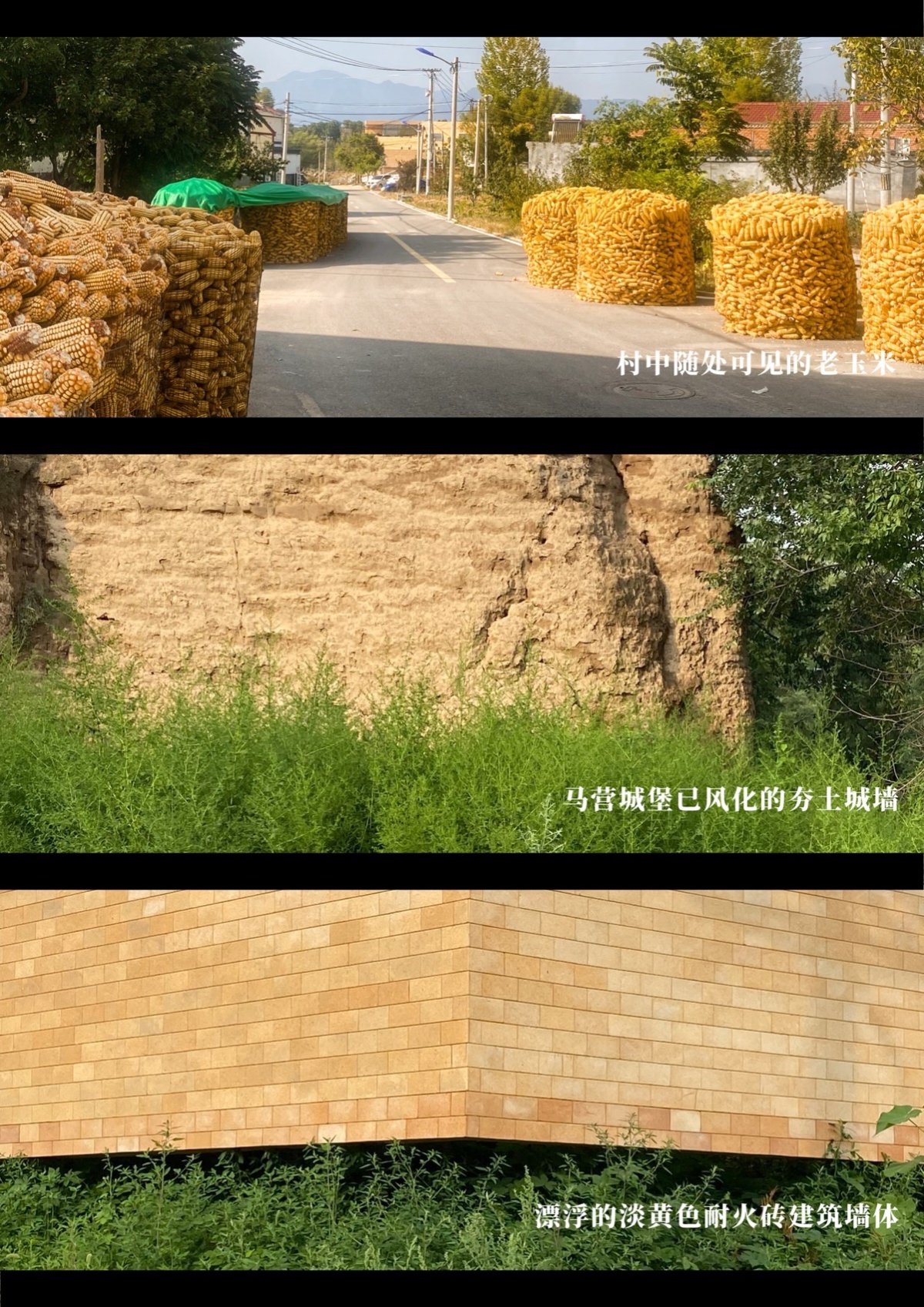 项目图片 7