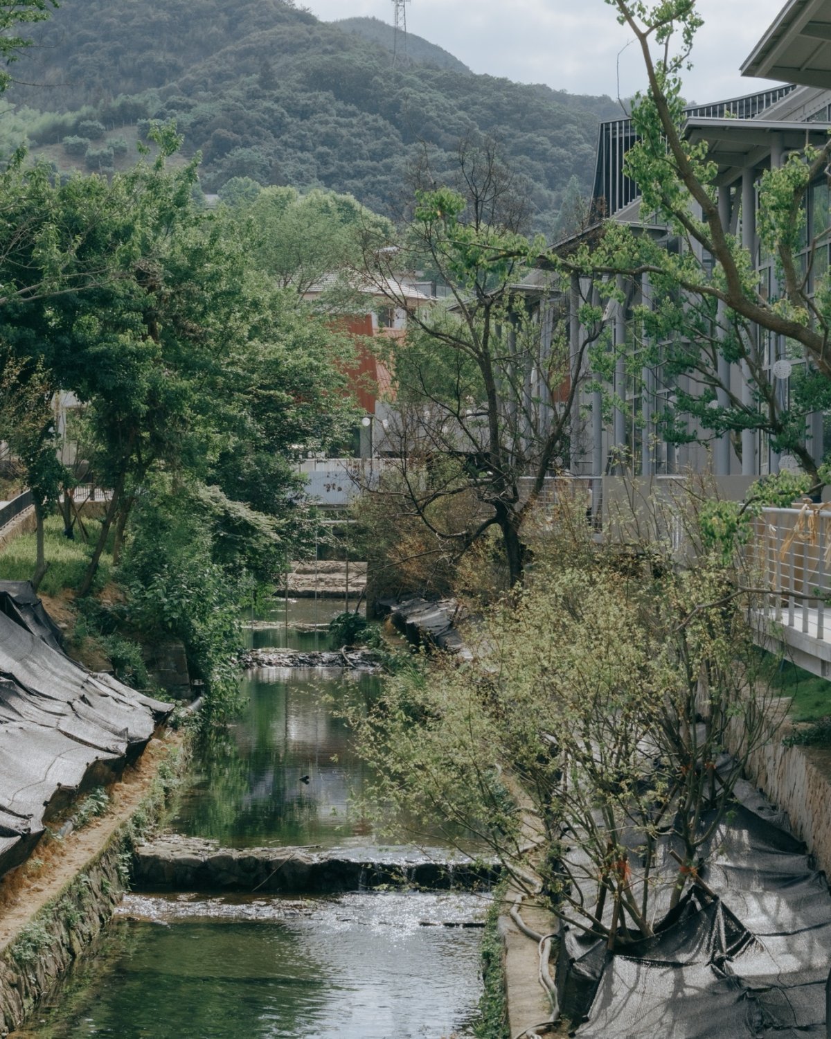 项目图片 3
