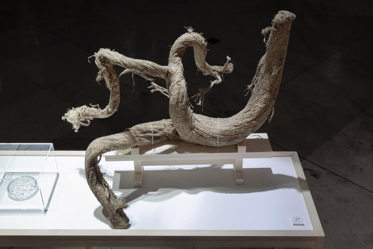 项目图片 8