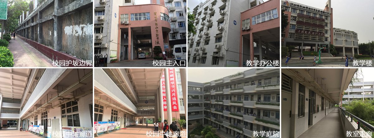 项目图片 1