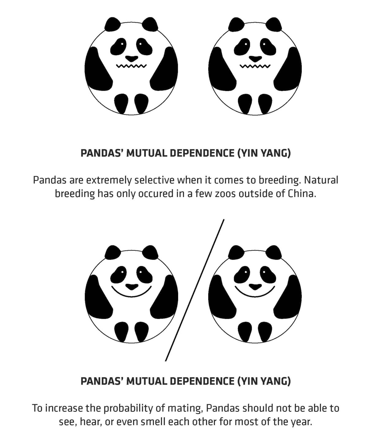 项目图片 1