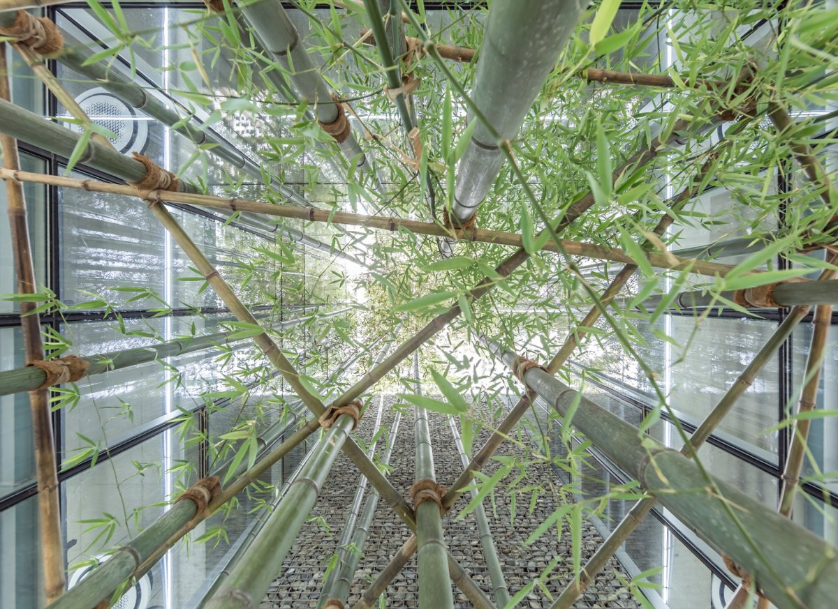 项目图片 9