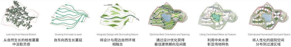 项目图片 2