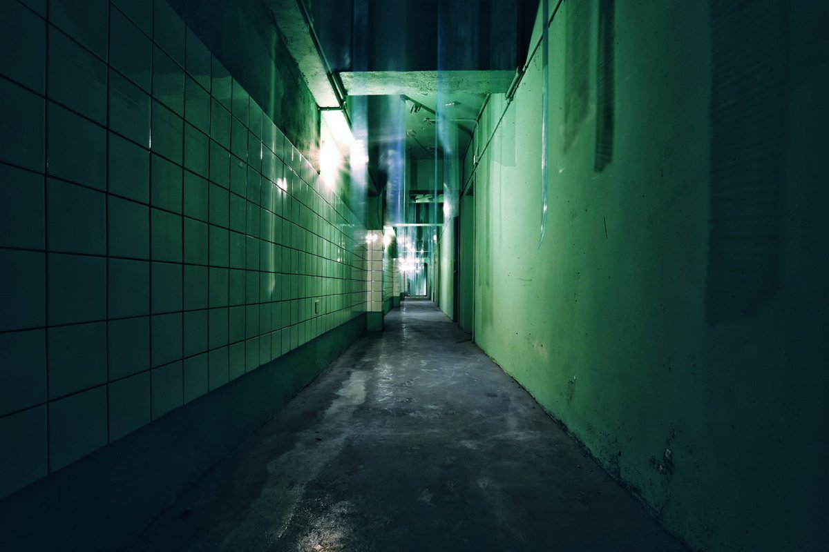 项目图片 4