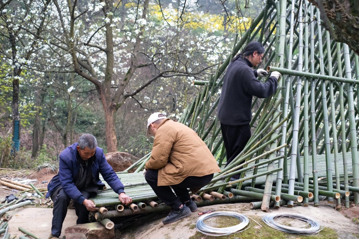 项目图片 9