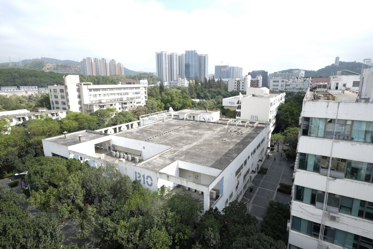 项目图片 3