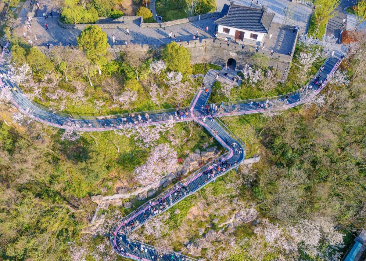 项目图片 2