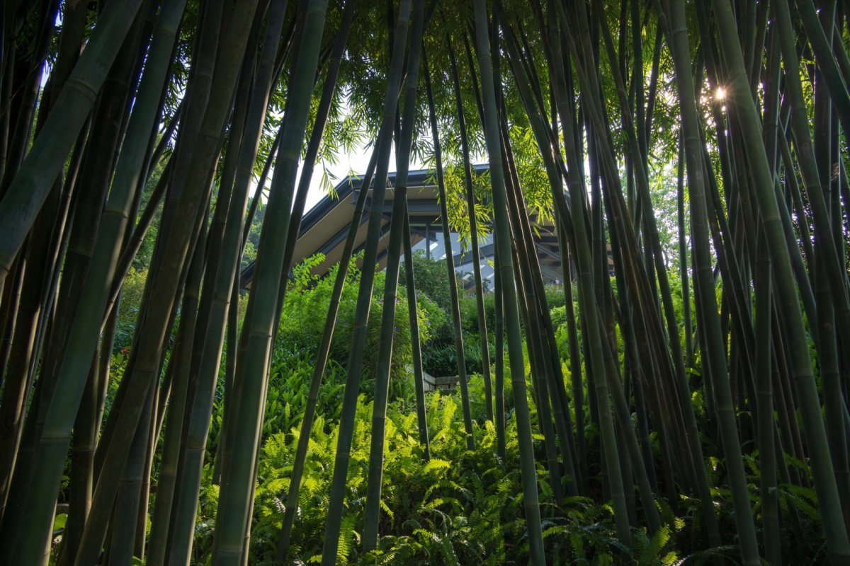 项目图片 2