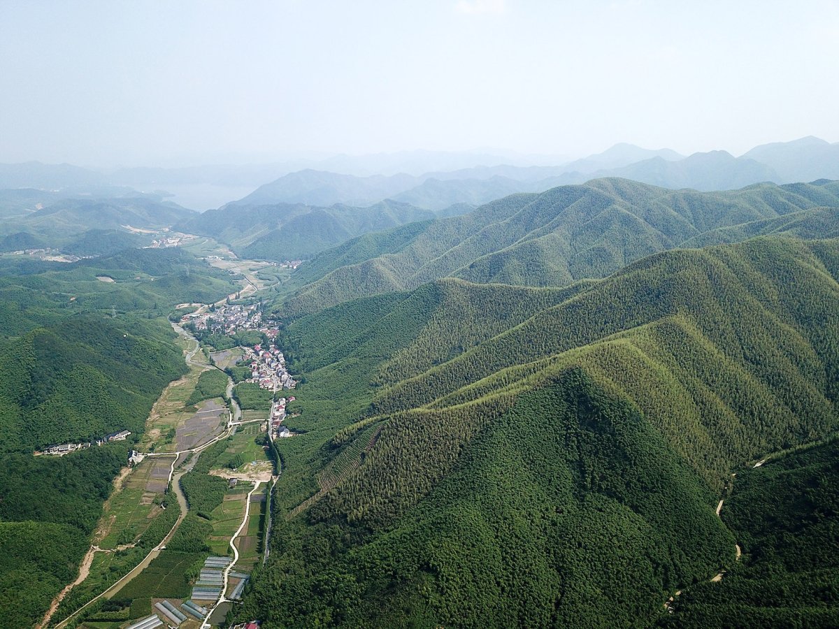 项目图片 1