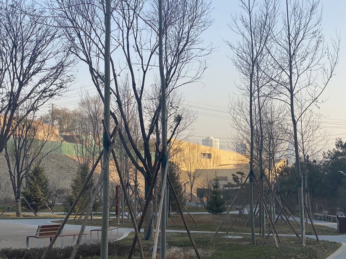 项目图片 2