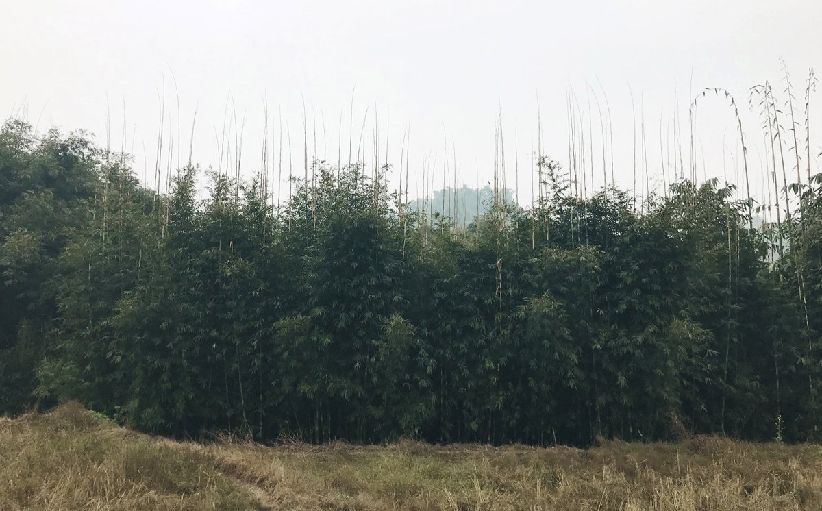 项目图片 5