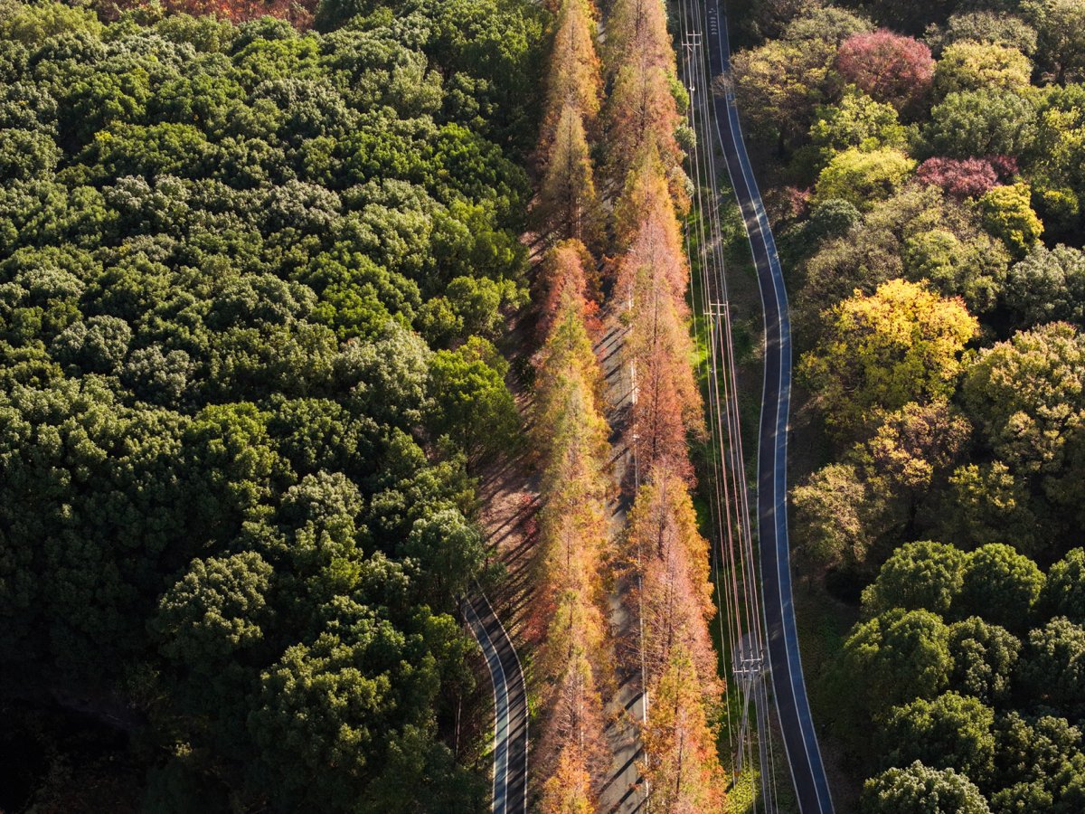 项目图片 2