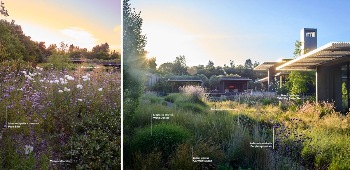 项目图片 4