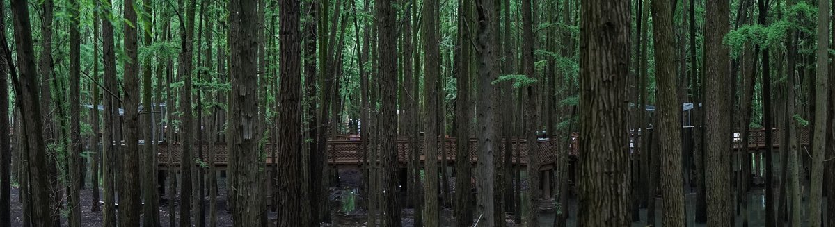 项目图片 1