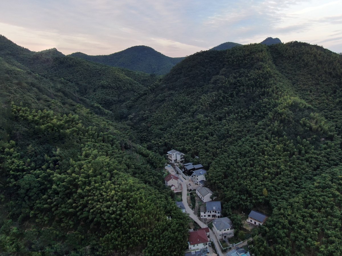项目图片 1