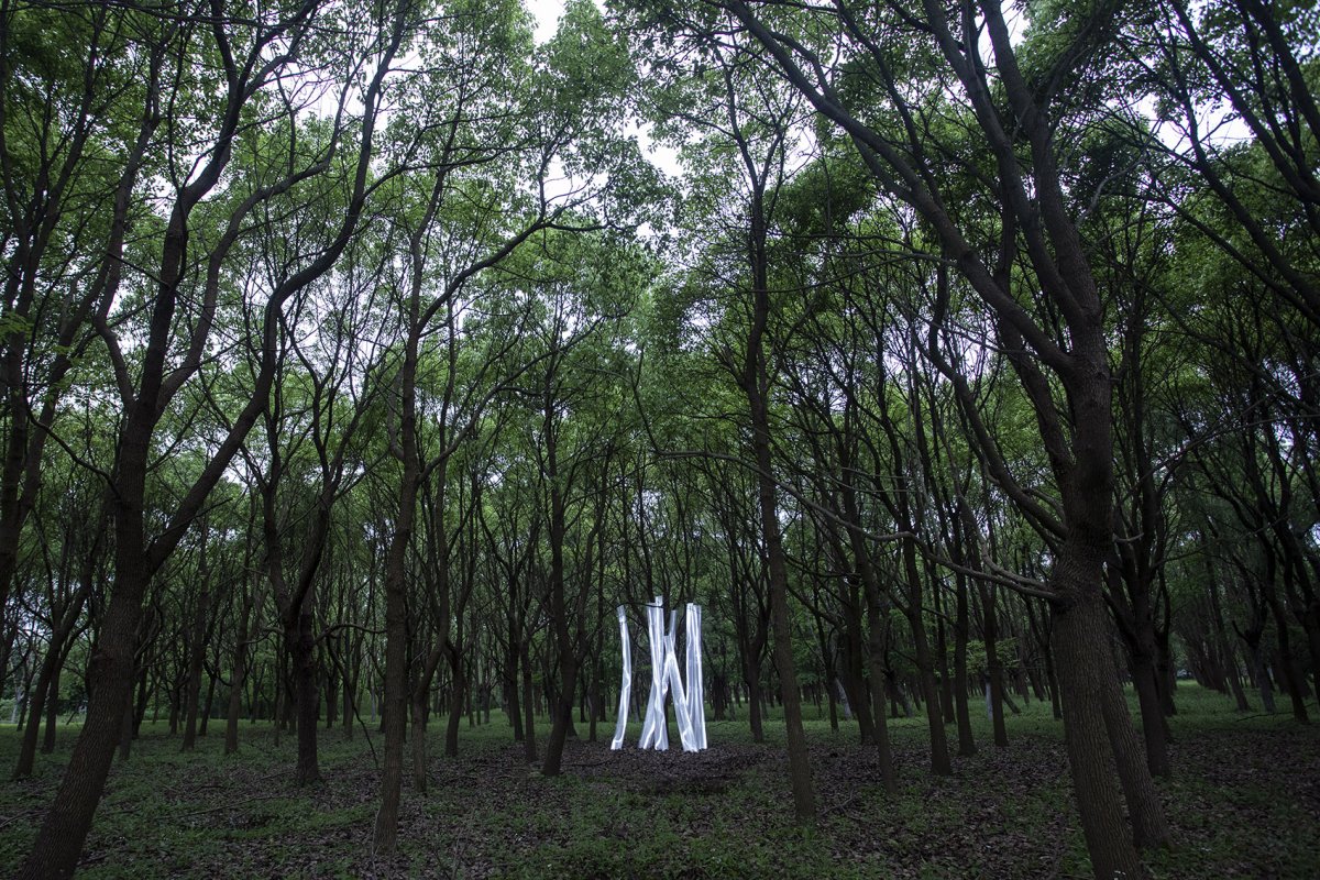 项目图片 5