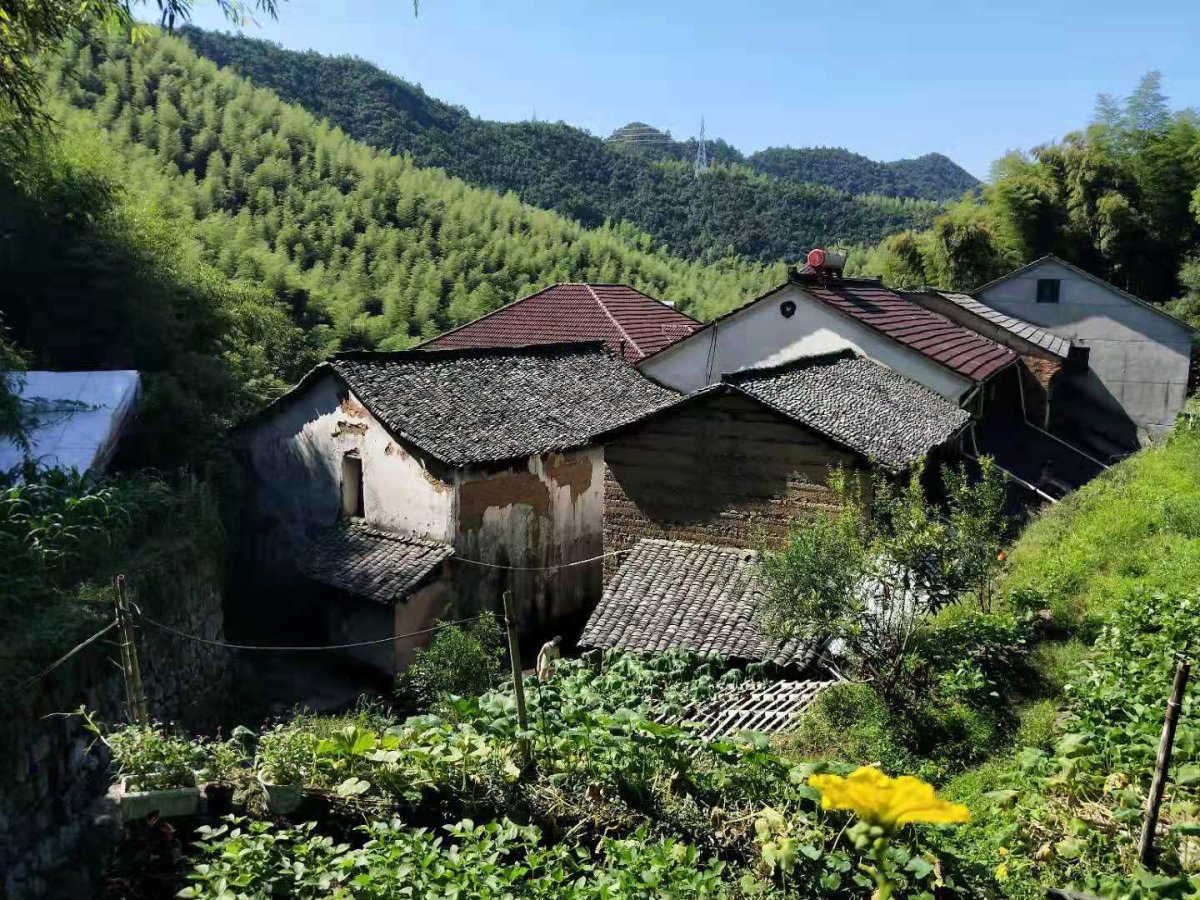 项目图片 5