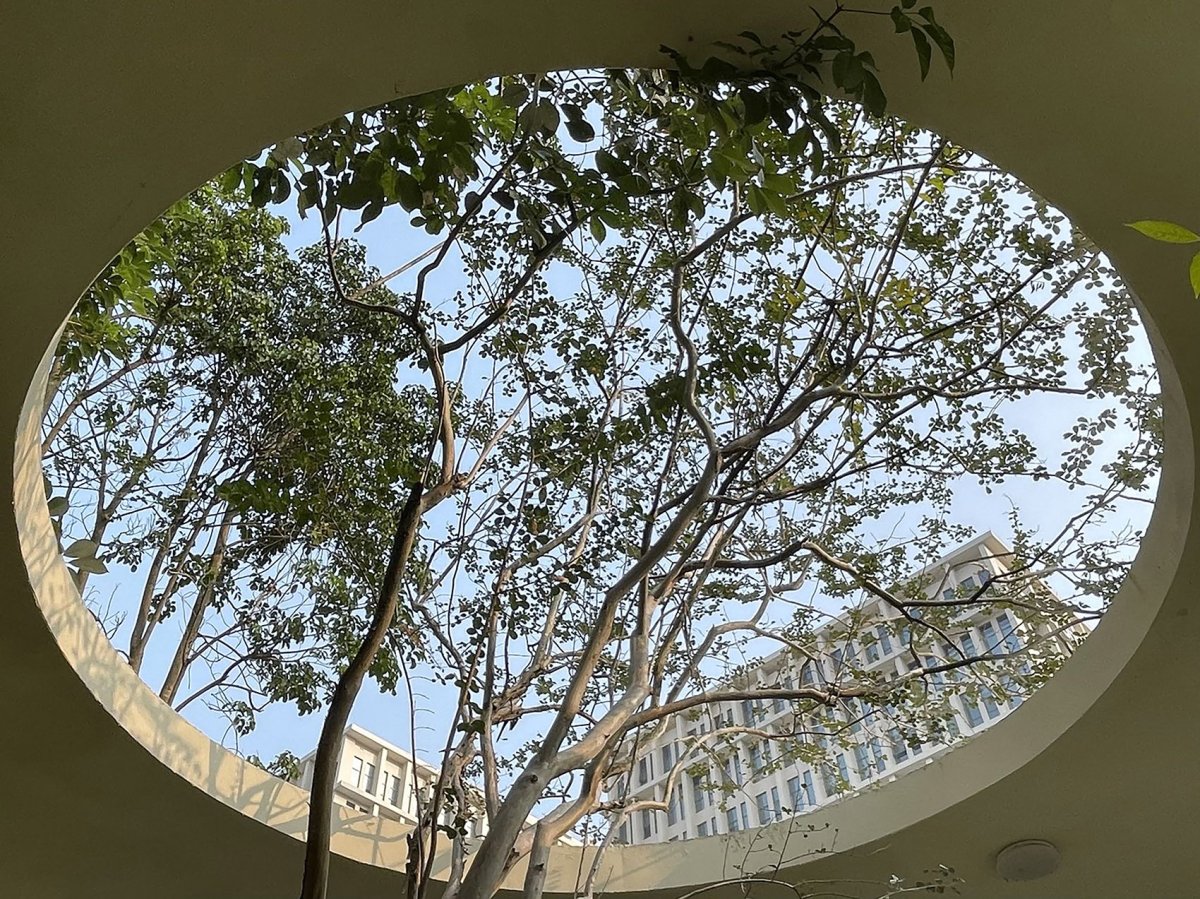 项目图片 1