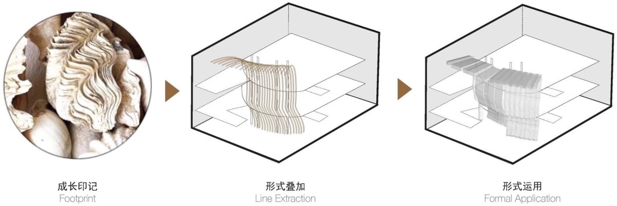 项目图片 1