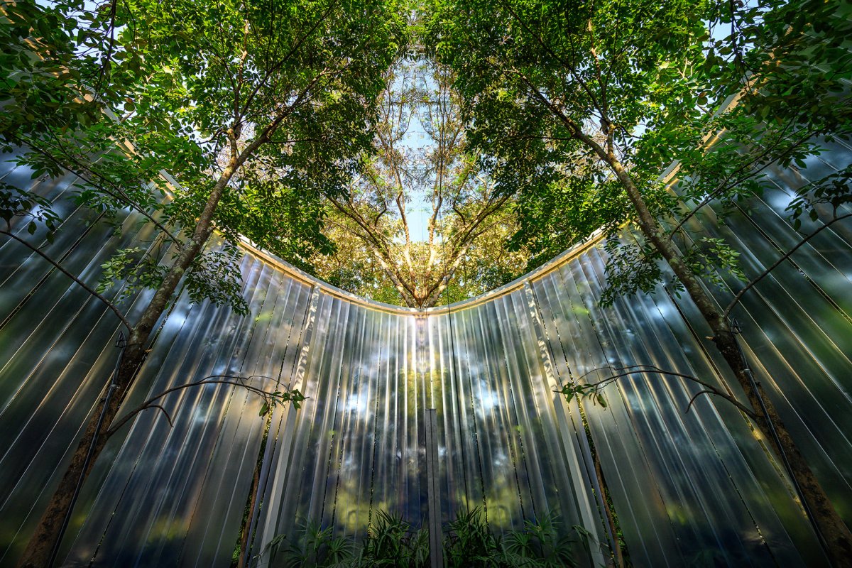 项目图片 8