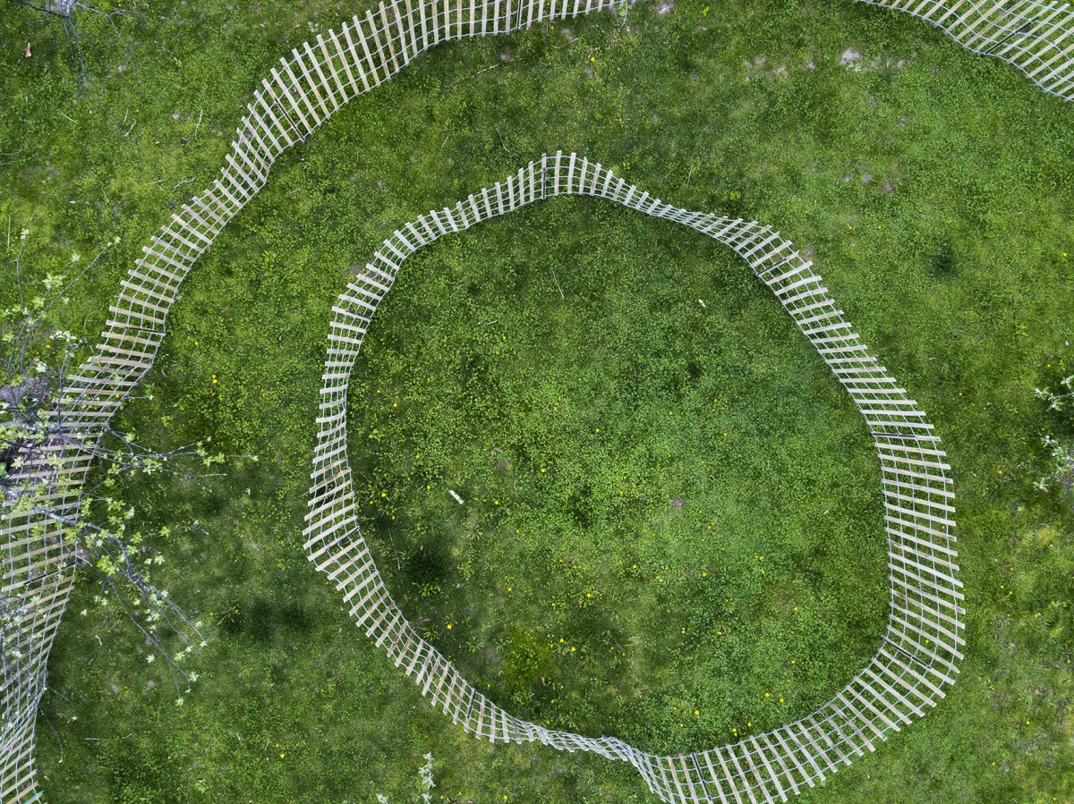 项目图片 6