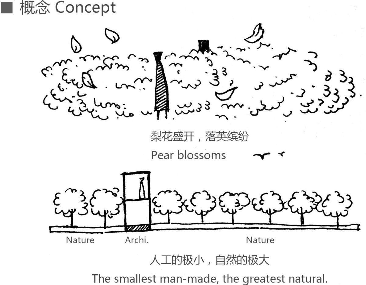 项目图片 1