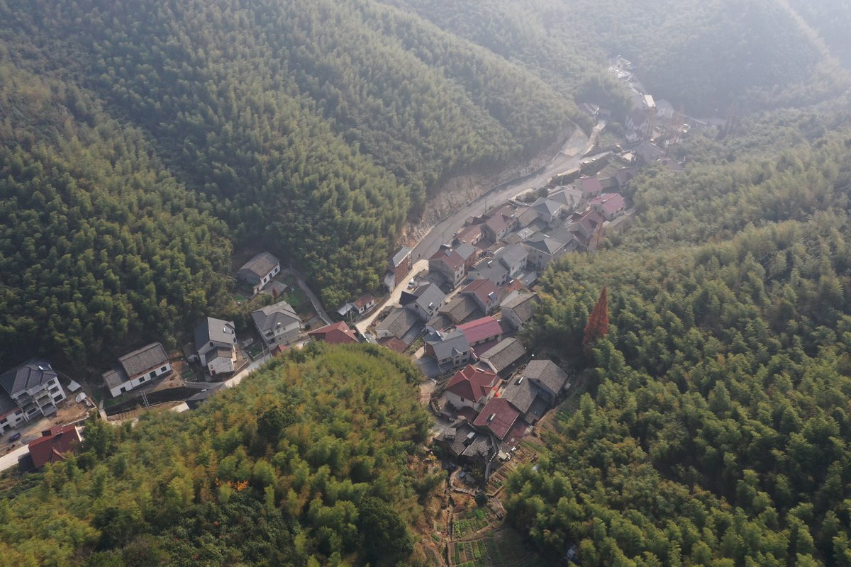 项目图片 1