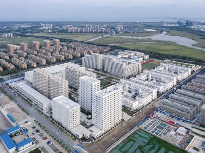 日常项目深度报道：临港双限房