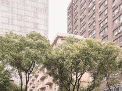 朝雨浥轻尘 - 南京大行宫老城区微更新改造 / 上海实在建筑设计工作室