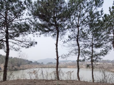 花海山房，武汉