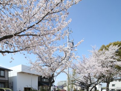 羽根北住宅，日本