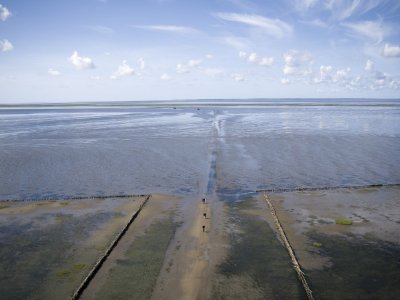 瓦登海游客中心景观设计, 丹麦