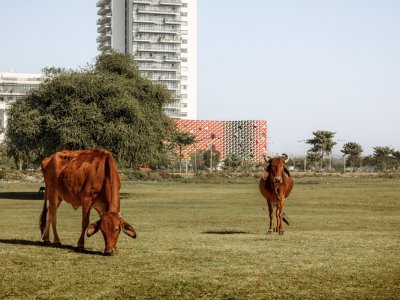 Au Grand Air幼儿园，印度 / Paul Le Quernec Architect