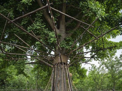 竹装置 - “Tree of Life” / UK Studio
