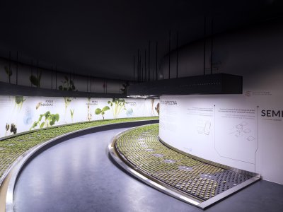 “人与未来 - 花圃”，意大利