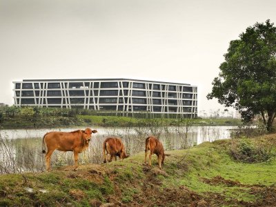 Concrete Lace办公楼，越南 / G8A Architecture &amp; Urban Planning