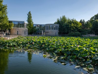 植物园活动中心，以色列 / Matti Rosenshine Architects