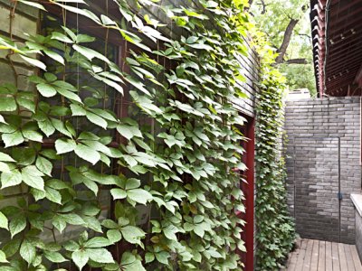众建筑办公室，北京